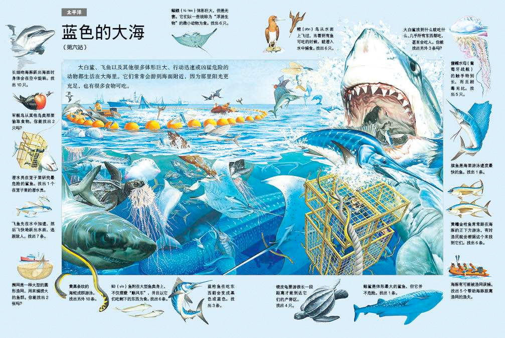 海洋科普动漫，海洋科普公司